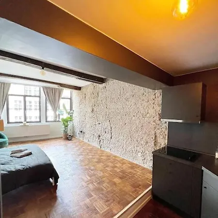 דירה Rustieke Studio Hartje